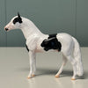 Jigsaw OOAK Tobiano Andalusian Chip By Jess Hamill EQ24