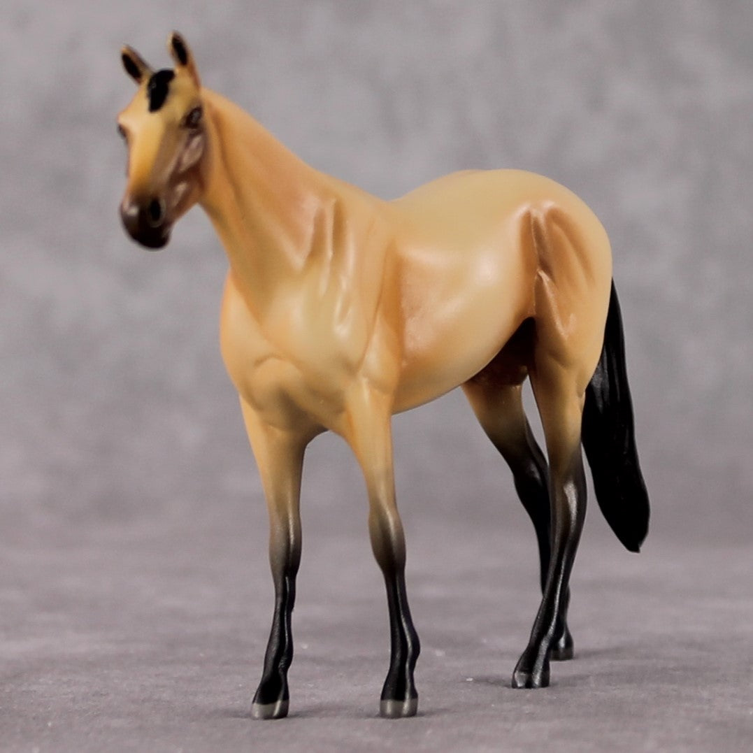 "Bucky" OOAK Thoroughbred Chip By Jamie Adamson SHCF25OS