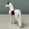 Jigsaw OOAK Tobiano Andalusian Chip By Jess Hamill EQ24