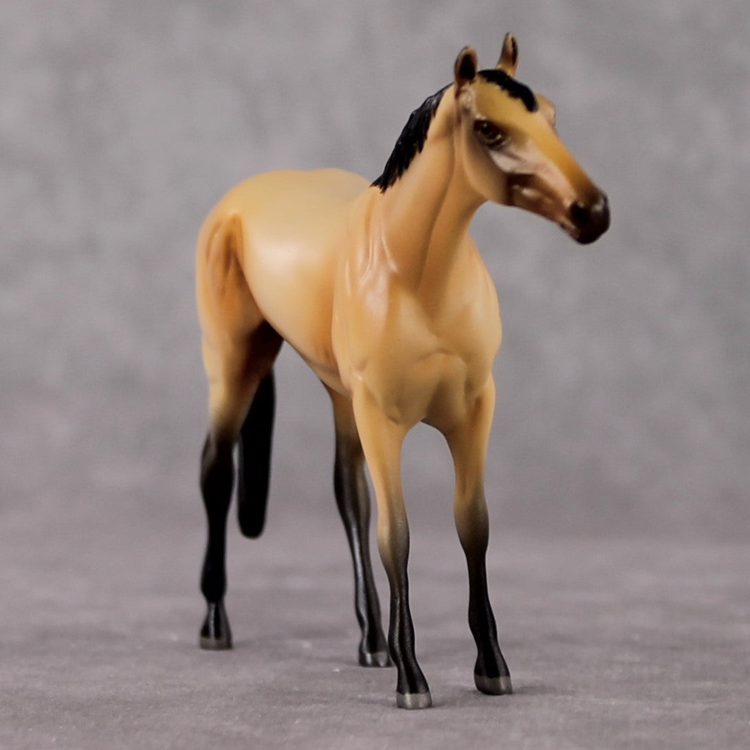 "Bucky" OOAK Thoroughbred Chip By Jamie Adamson SHCF25OS
