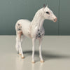 Misty Moonbeam OOAK Sabino Andalusian Chip By Jess Hamill EQ24