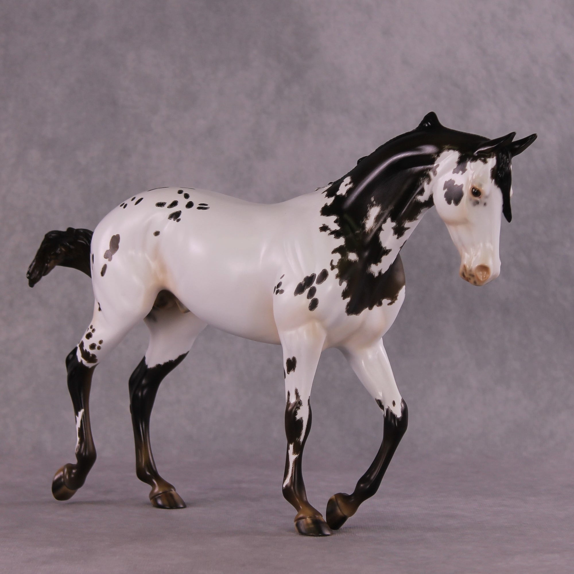 "Cartouche" OOAK Thoroughbred by Julie Kiem SHCF25
