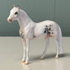 Misty Moonbeam OOAK Sabino Andalusian Chip By Jess Hamill EQ24