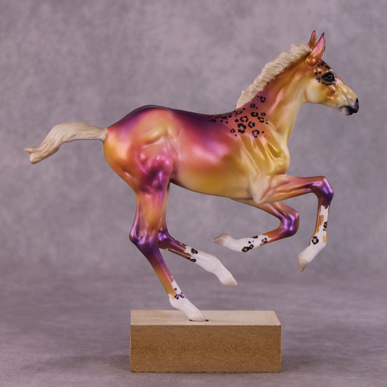 "Jerrica" OOAK Pimento Foal Blind Bag by Jess Hamill SHCF25