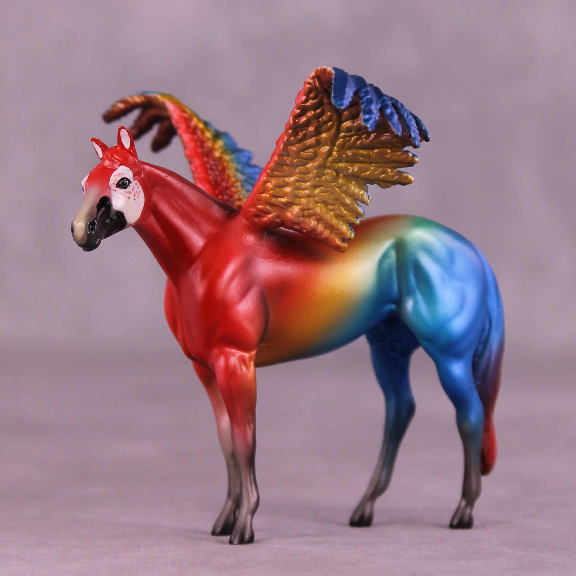 Scarlet Macaw FCM OOAK Chip Grab Bag by Jess Hamill MS25