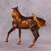&quot;Here Comes the Hot Stepper&quot; OOAK EFCM Arab Mare By Caroline Boydston Best Offer 5/13/2025