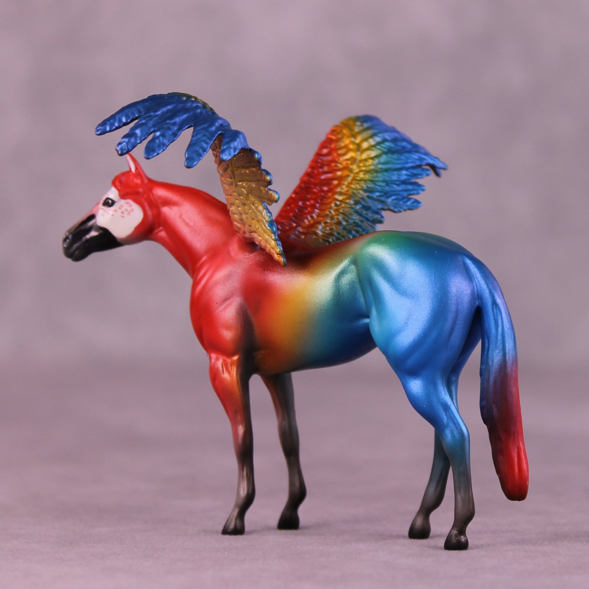 Scarlet Macaw FCM OOAK Chip Grab Bag by Jess Hamill MS25