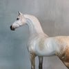 Golconda OOAK Custom Dappled Rose Grey Arabian Stallion Painted By Sheryl Leisure Best Offers 9/3/24