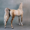 Golconda OOAK Custom Dappled Rose Grey Arabian Stallion Painted By Sheryl Leisure Best Offers 9/3/24