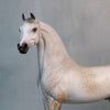 Golconda OOAK Custom Dappled Rose Grey Arabian Stallion Painted By Sheryl Leisure Best Offers 9/3/24