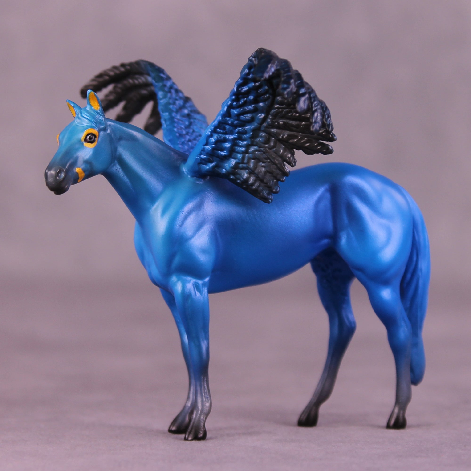 Hyacinth Macaw FCM OOAK Chip Grab Bag by Jess Hamill MS25