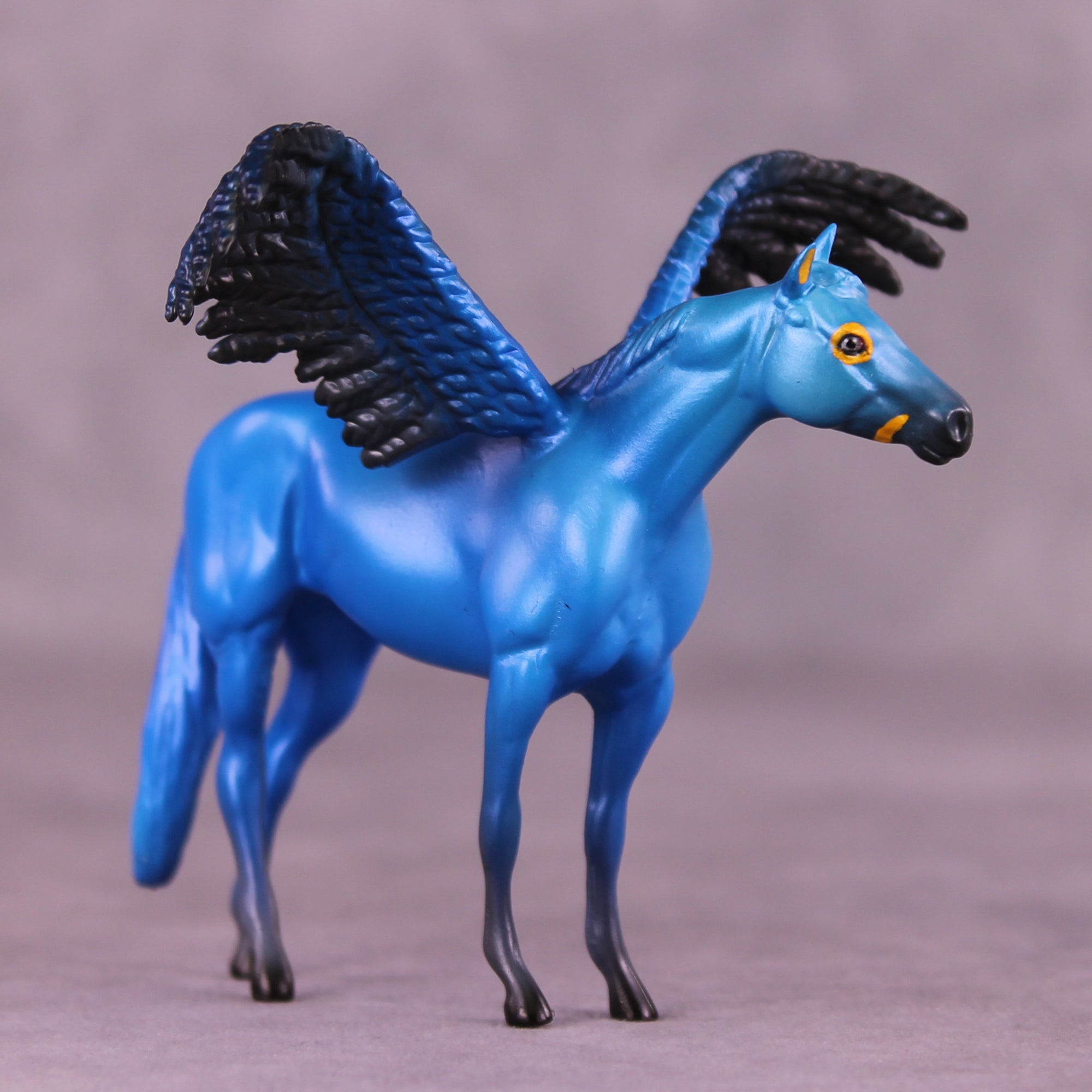 Hyacinth Macaw FCM OOAK Chip Grab Bag by Jess Hamill MS25