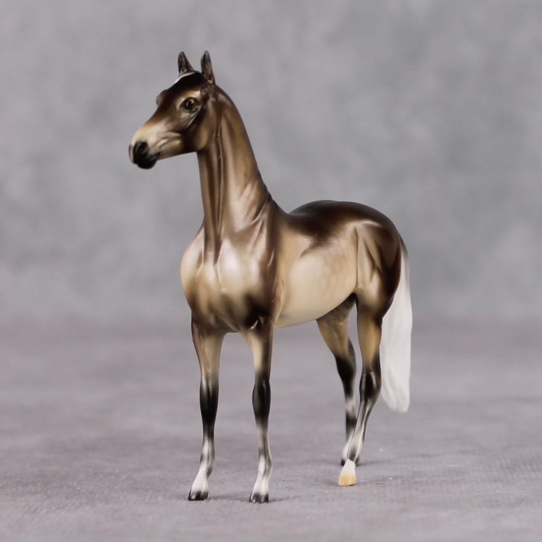 "Mini Veronika Carter" LE-3 Silver Dapple Morgan Chip By Ellen Robbins-Secret Surprise Chip Drop