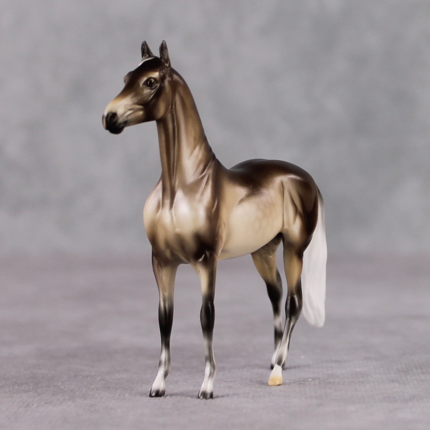 "Mini Veronika Carter" LE-3 Silver Dapple Morgan Chip By Ellen Robbins-Secret Surprise Chip Drop