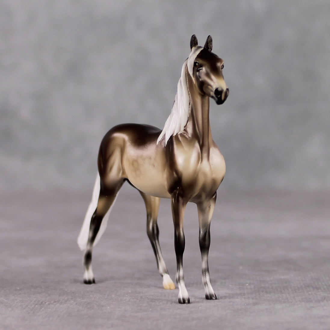 "Mini Veronika Carter" LE-3 Silver Dapple Morgan Chip By Ellen Robbins-Secret Surprise Chip Drop