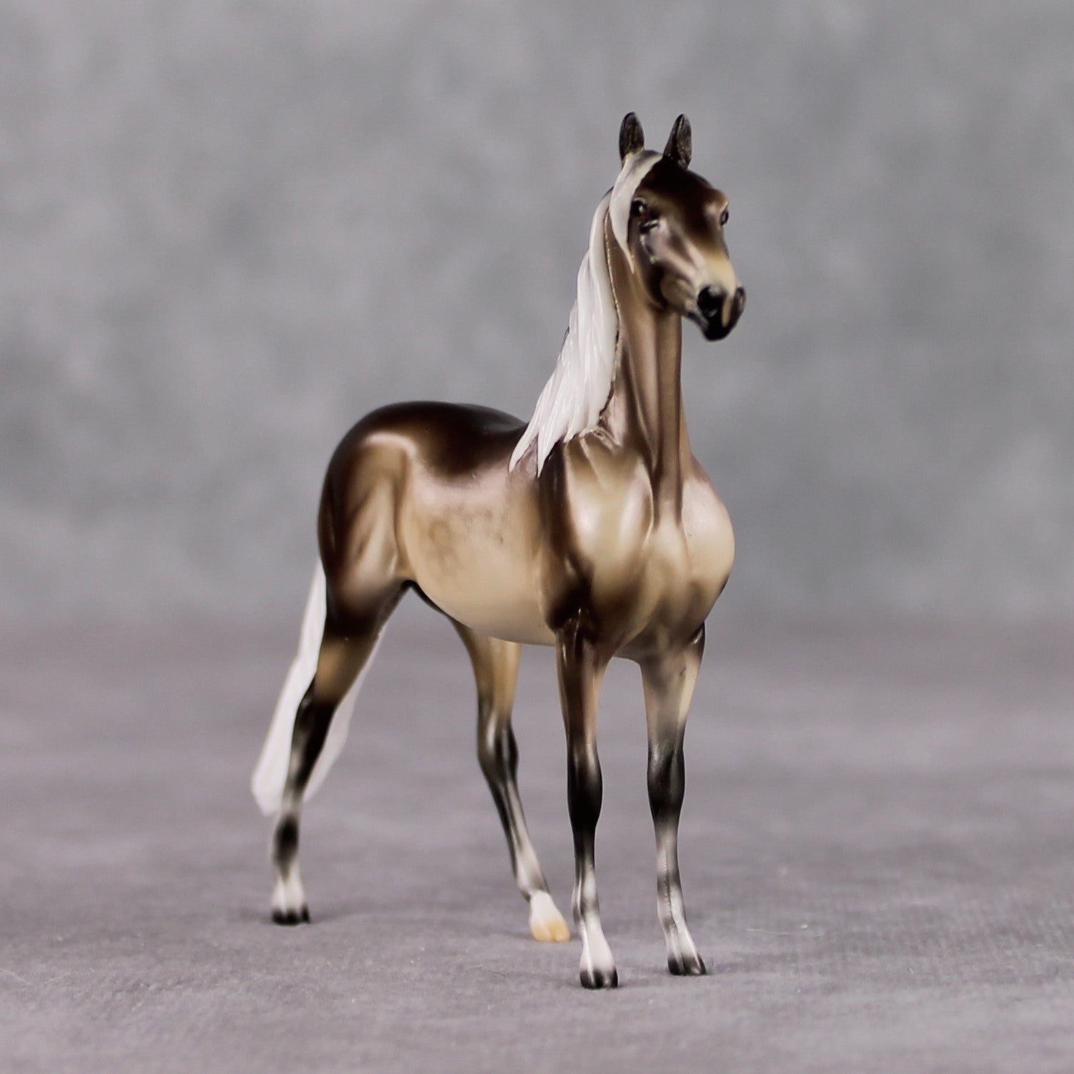 "Mini Veronika Carter" LE-3 Silver Dapple Morgan Chip By Ellen Robbins-Secret Surprise Chip Drop