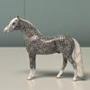 Presence OOAK Dappled Grey Andalusian Chip By Andrea Thomason EQ24