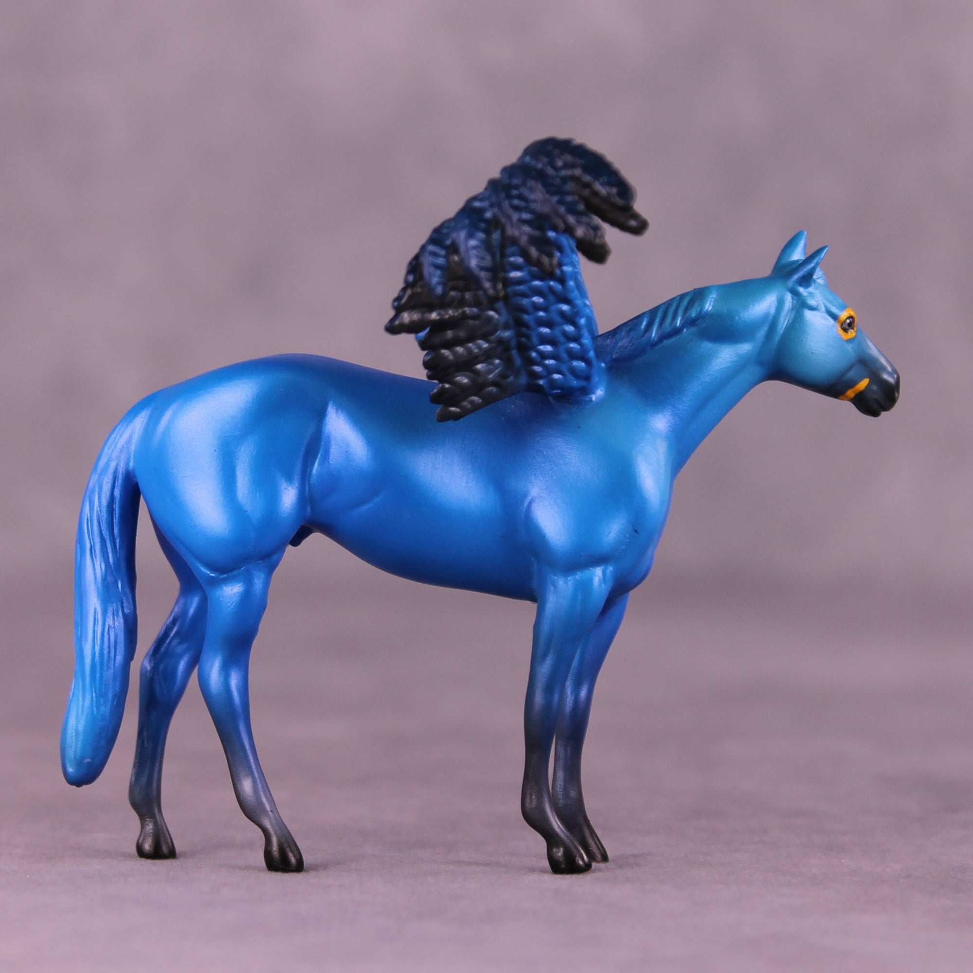 Hyacinth Macaw FCM OOAK Chip Grab Bag by Jess Hamill MS25