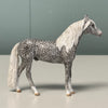 Presence OOAK Dappled Grey Andalusian Chip By Andrea Thomason EQ24