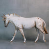 Winnemucca OOAK Customized Chestnut Appaloosa Mule Painted By Sheryl Leisure Best Offers 9/3/24