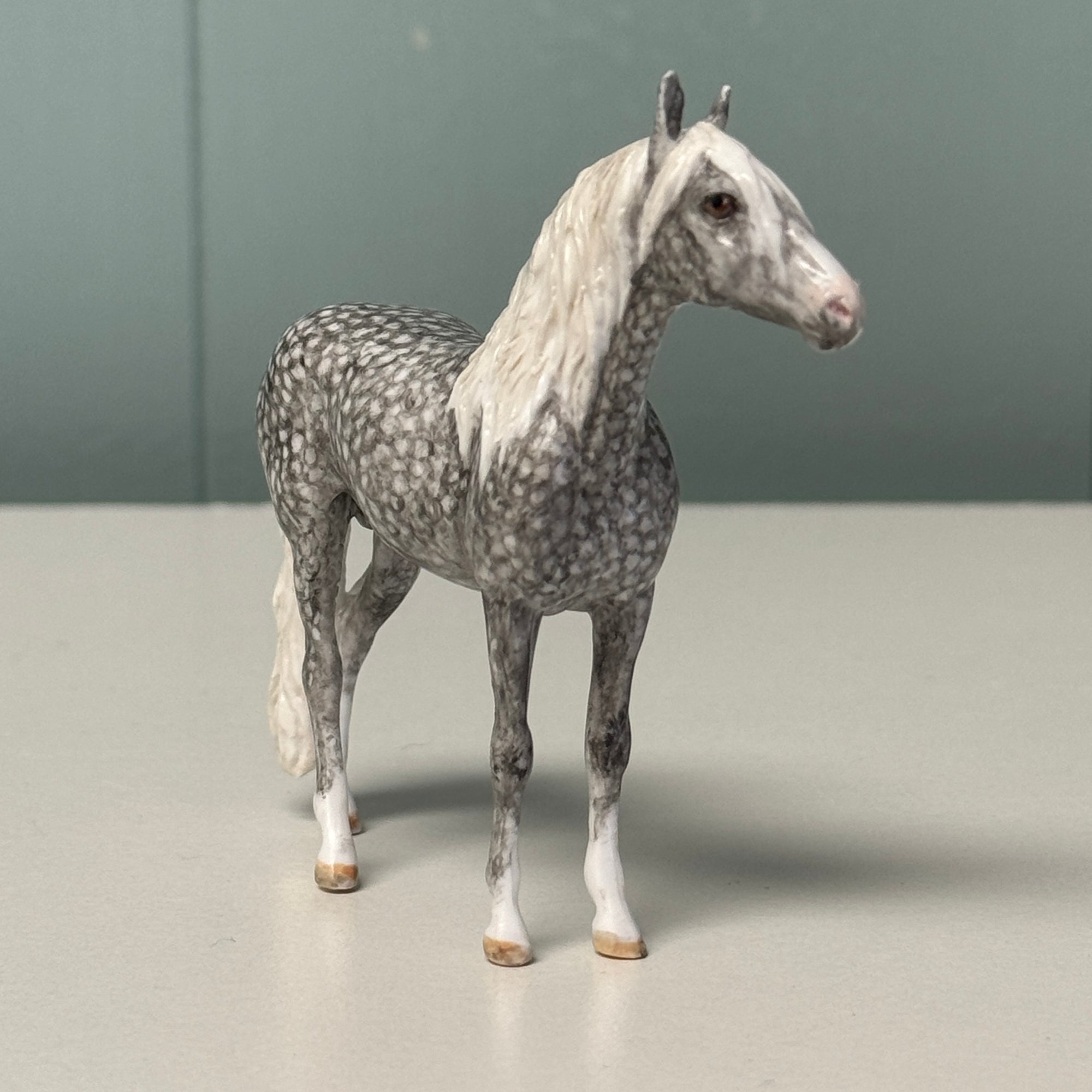 Presence OOAK Dappled Grey Andalusian Chip By Andrea Thomason EQ24