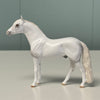 Paces OOAK Grey Andalusian Chip By Andrea Thomason EQ24