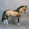 Mandatory Fun OOAK Customized Dappled Buckskin Andalusian By Dawn Quick Best Offers 9/3/24