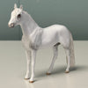 Paces OOAK Grey Andalusian Chip By Andrea Thomason EQ24