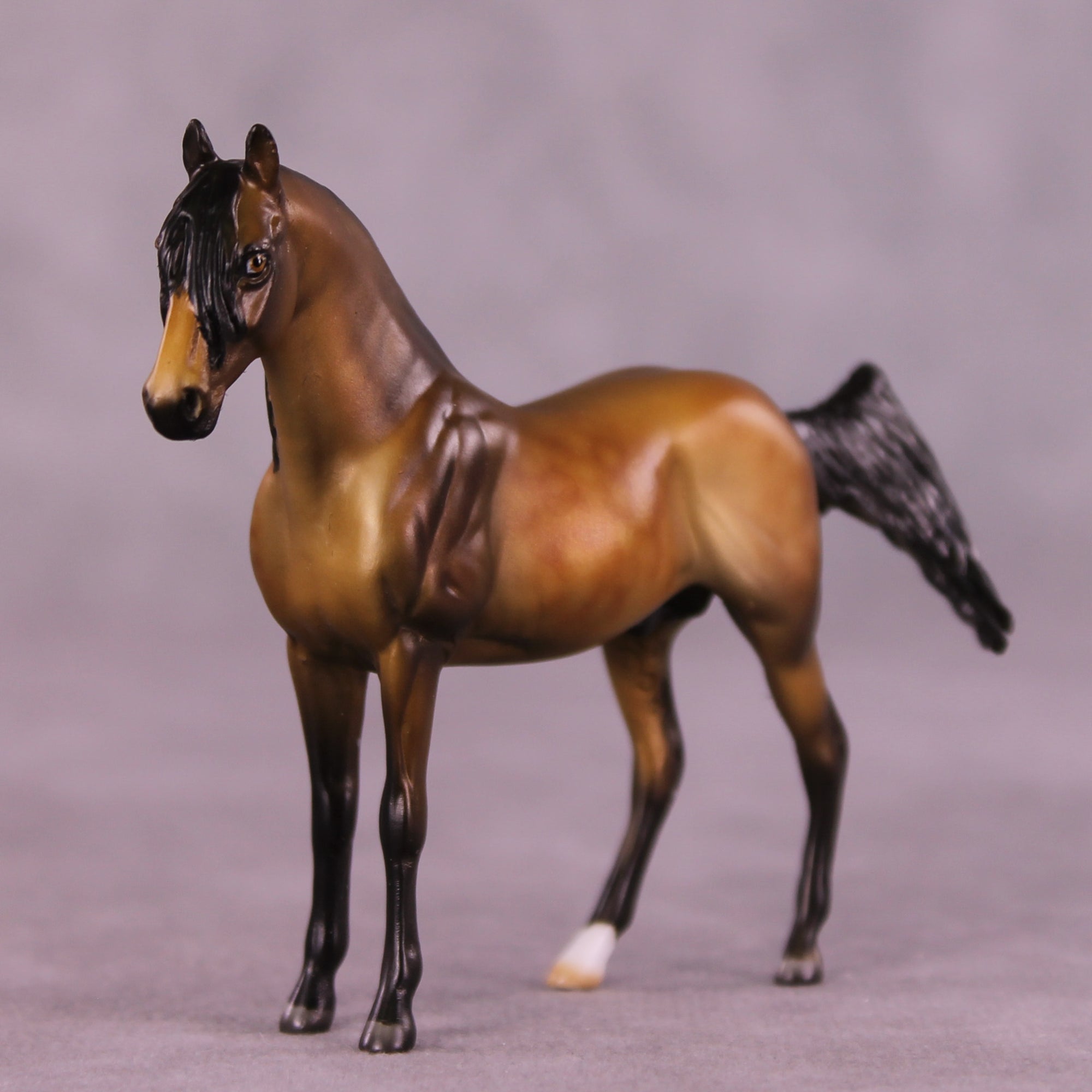 SAMPLE Sebastian LE-10 EFCM Chip Andalusian by Julie Keim HS25