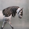 Aeolian OOAK Customized Dappled Grey Irish Draught By Jess Hamill Best Offers 9/3/24