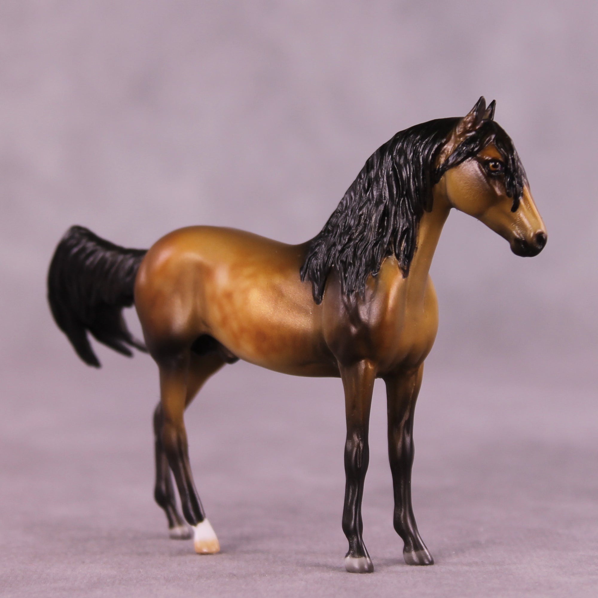 Preview: Sebastian LE-10 EFCM Chip Andalusian by Julie Keim LHS25