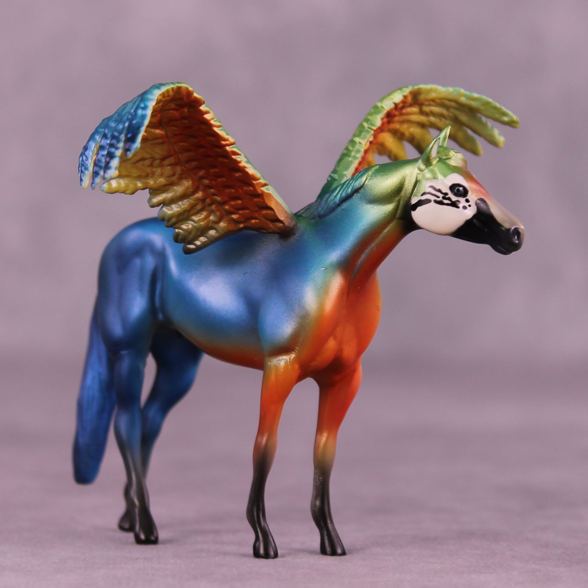 Harlequin Macaw FCM OOAK Chip Grab Bag by Jess Hamill MS25