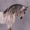 &quot;De Barge&quot; OOAK EFCM Andalusian By Caroline Boydston Best Offer 5/13/2025