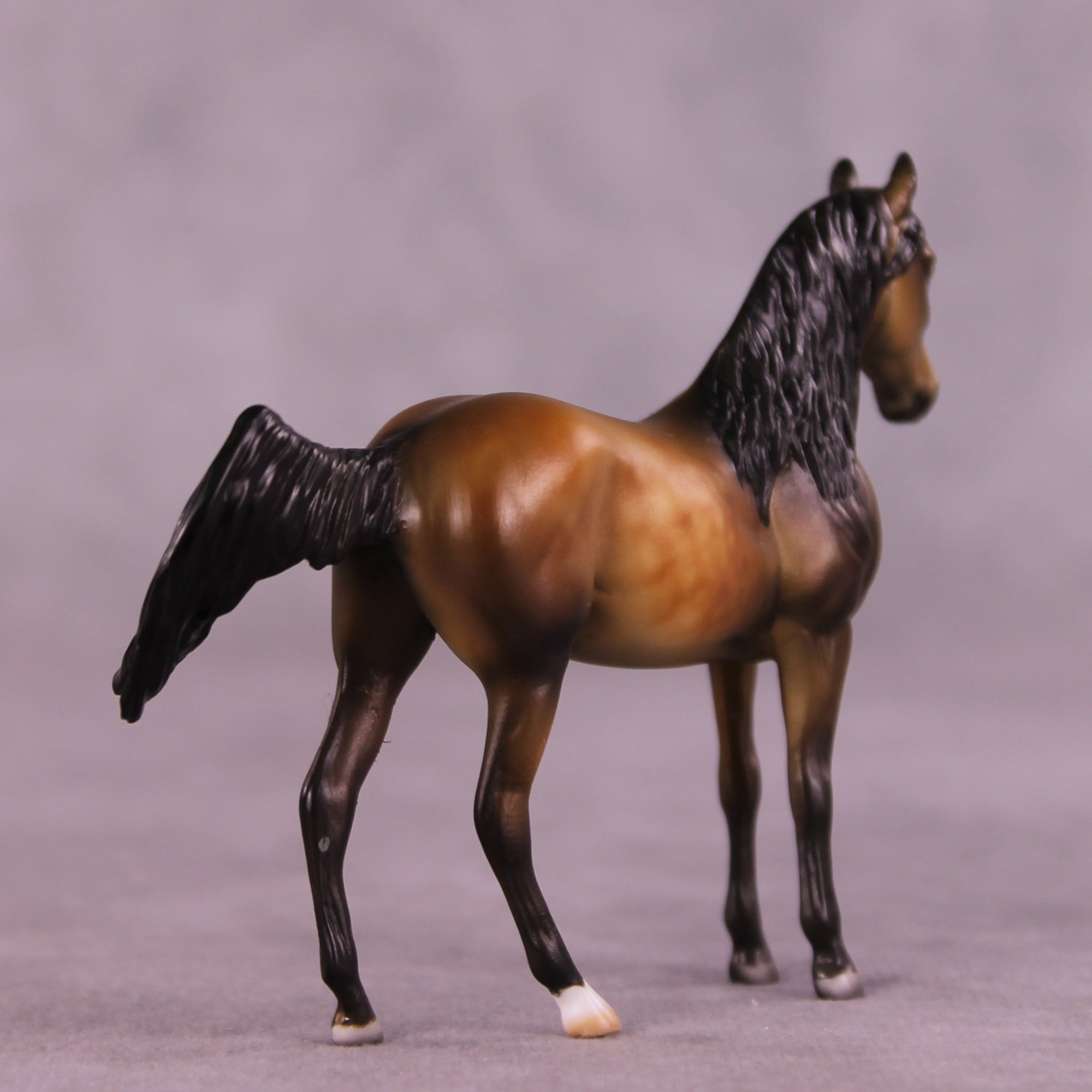 Preview: Sebastian LE-10 EFCM Chip Andalusian by Julie Keim LHS25