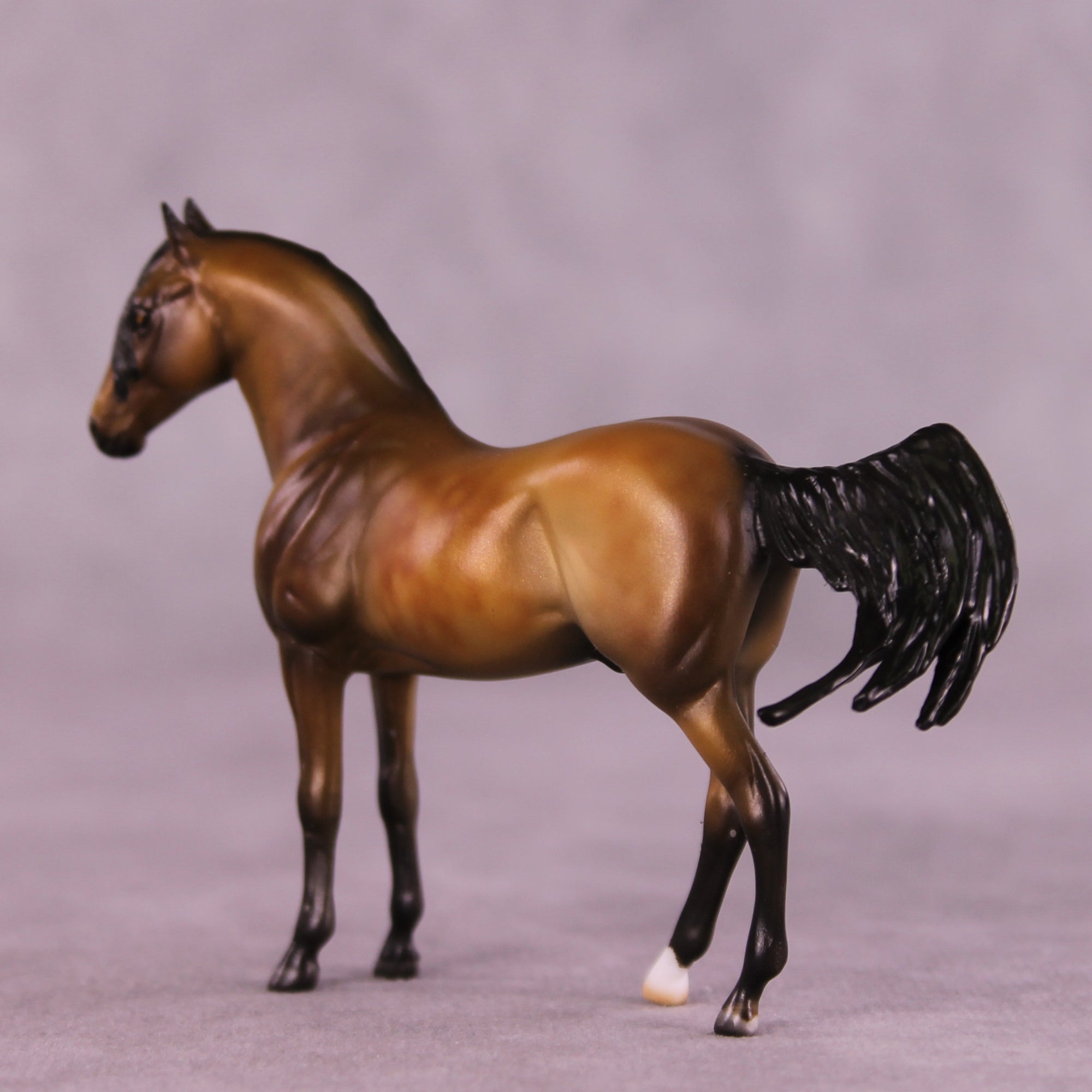 SAMPLE Sebastian LE-10 EFCM Chip Andalusian by Julie Keim HS25