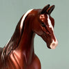 Gummi Cola OOAK Chestnut Tobiano Saddlebred Pebble By Jess Hamill EQ24