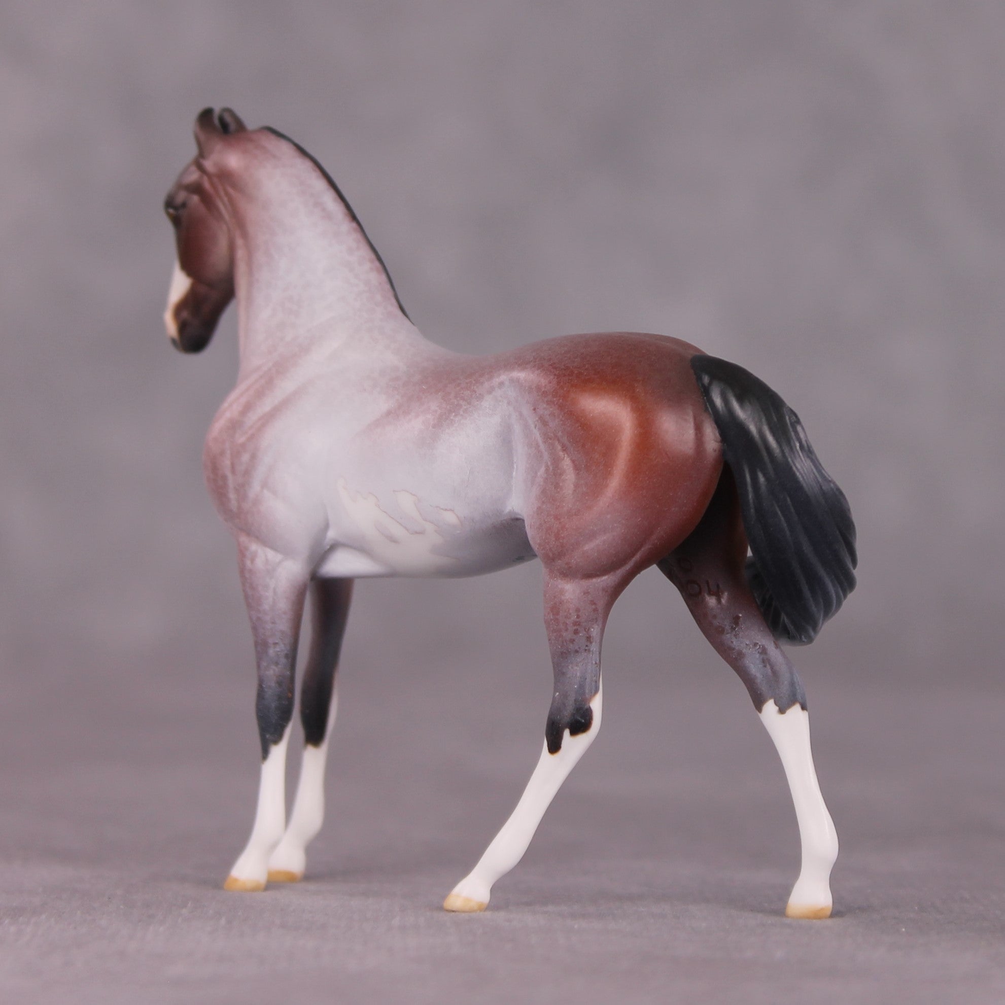 "Gwyndolin" LE-10 FCM Marwari Morgan Chip By Jess Hamill SHCF25 Run