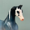 Gummi Shark OOAK Blue Deco Saddlebred Pebble By Jess Hamill EQ24