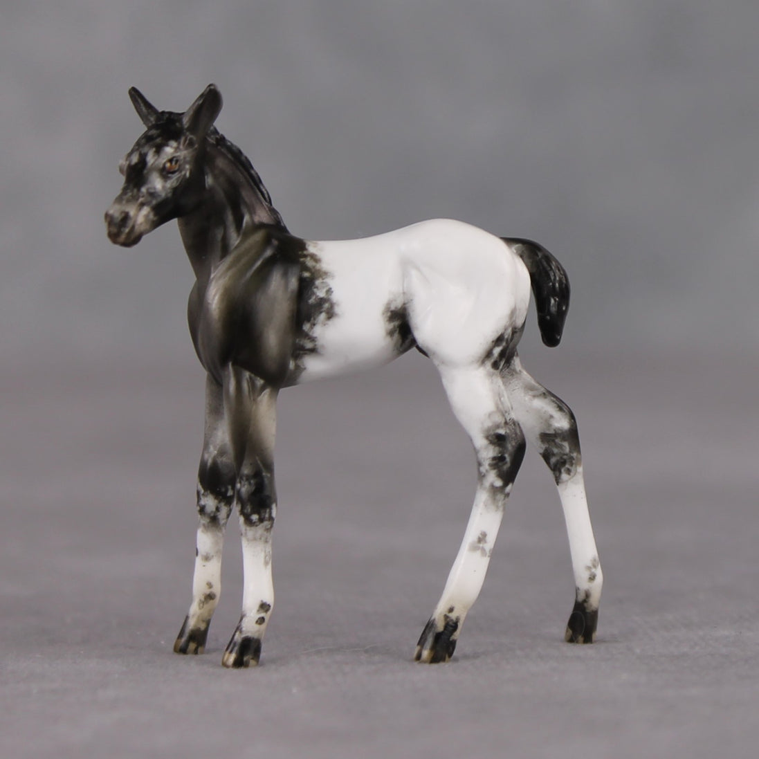 "Mini Renn" LE-3 Appaloosa Foal Chip By Julie Keim-Secret Surprise Chip Drop