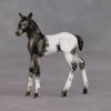 Mini Renn LE-3 Appaloosa Foal Chip By Julie Keim-Secret Surprise Chip Drop