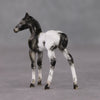 Mini Renn LE-3 Appaloosa Foal Chip By Julie Keim-Secret Surprise Chip Drop