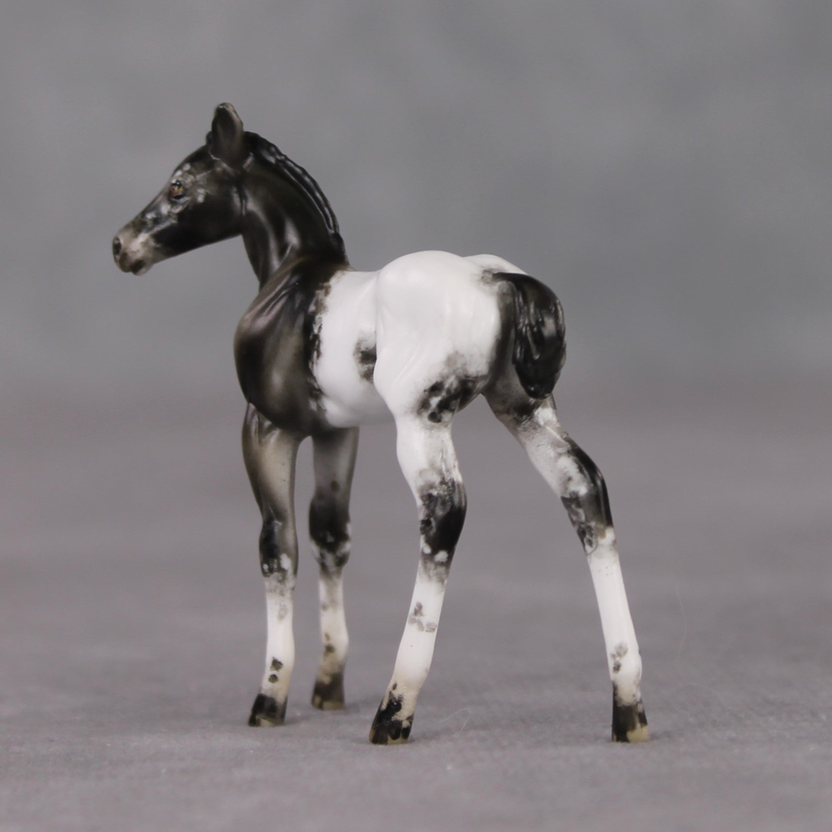"Mini Renn" LE-3 Appaloosa Foal Chip By Julie Keim-Secret Surprise Chip Drop