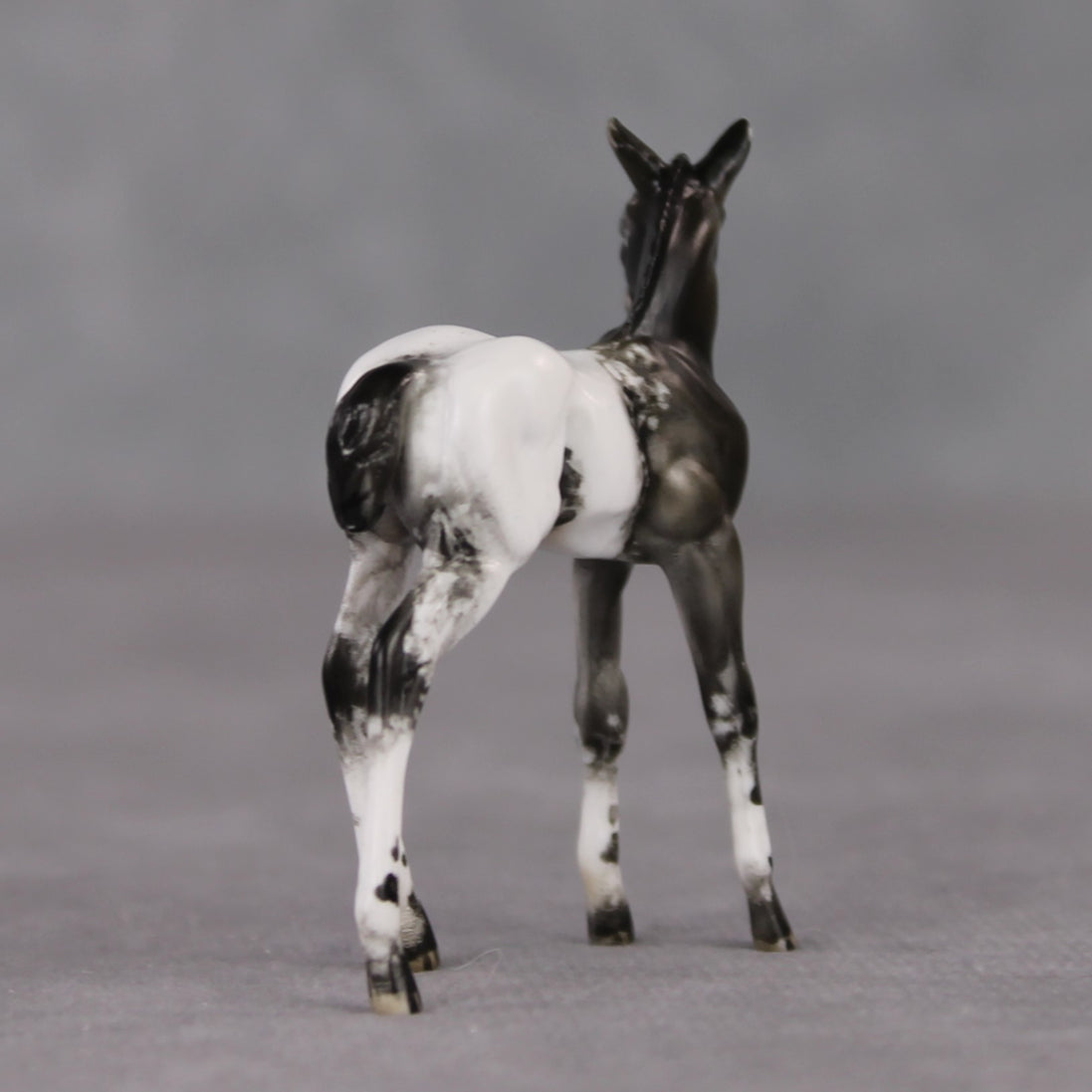 "Mini Renn" LE-3 Appaloosa Foal Chip By Julie Keim-Secret Surprise Chip Drop