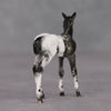 Mini Renn LE-3 Appaloosa Foal Chip By Julie Keim-Secret Surprise Chip Drop