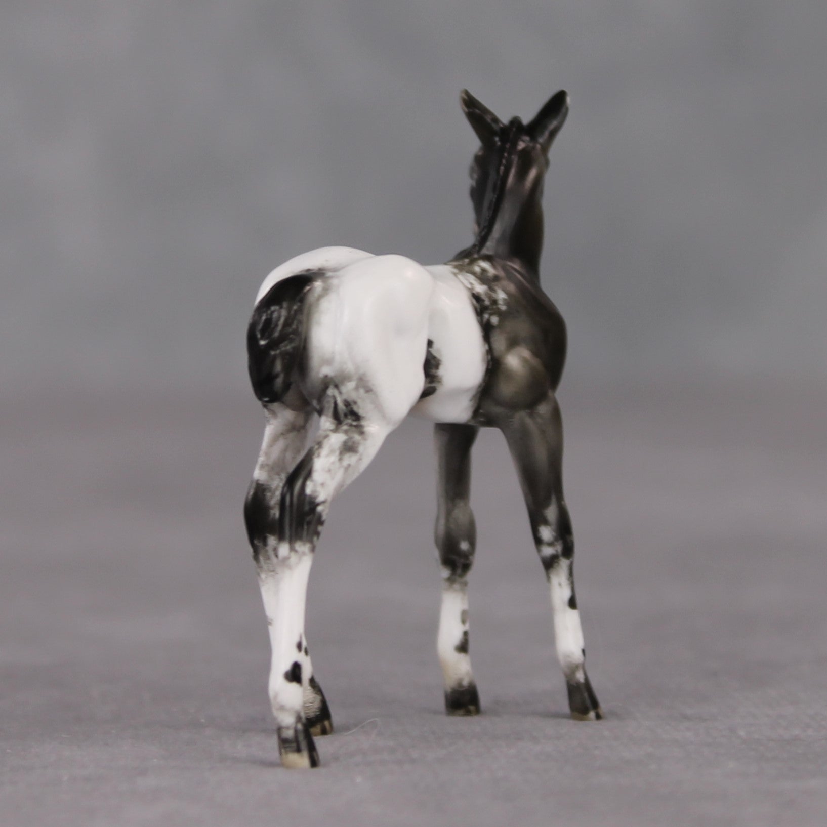 "Mini Renn" LE-3 Appaloosa Foal Chip By Julie Keim-Secret Surprise Chip Drop
