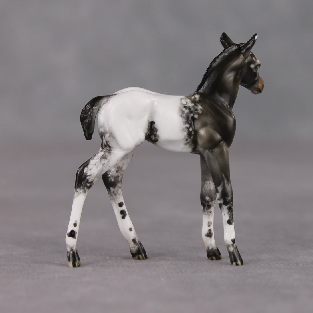"Mini Renn" LE-3 Appaloosa Foal Chip By Julie Keim-Secret Surprise Chip Drop