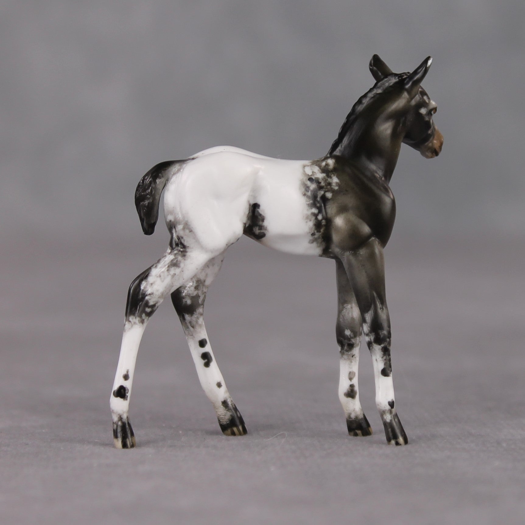"Mini Renn" LE-3 Appaloosa Foal Chip By Julie Keim-Secret Surprise Chip Drop
