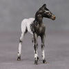 Mini Renn LE-3 Appaloosa Foal Chip By Julie Keim-Secret Surprise Chip Drop