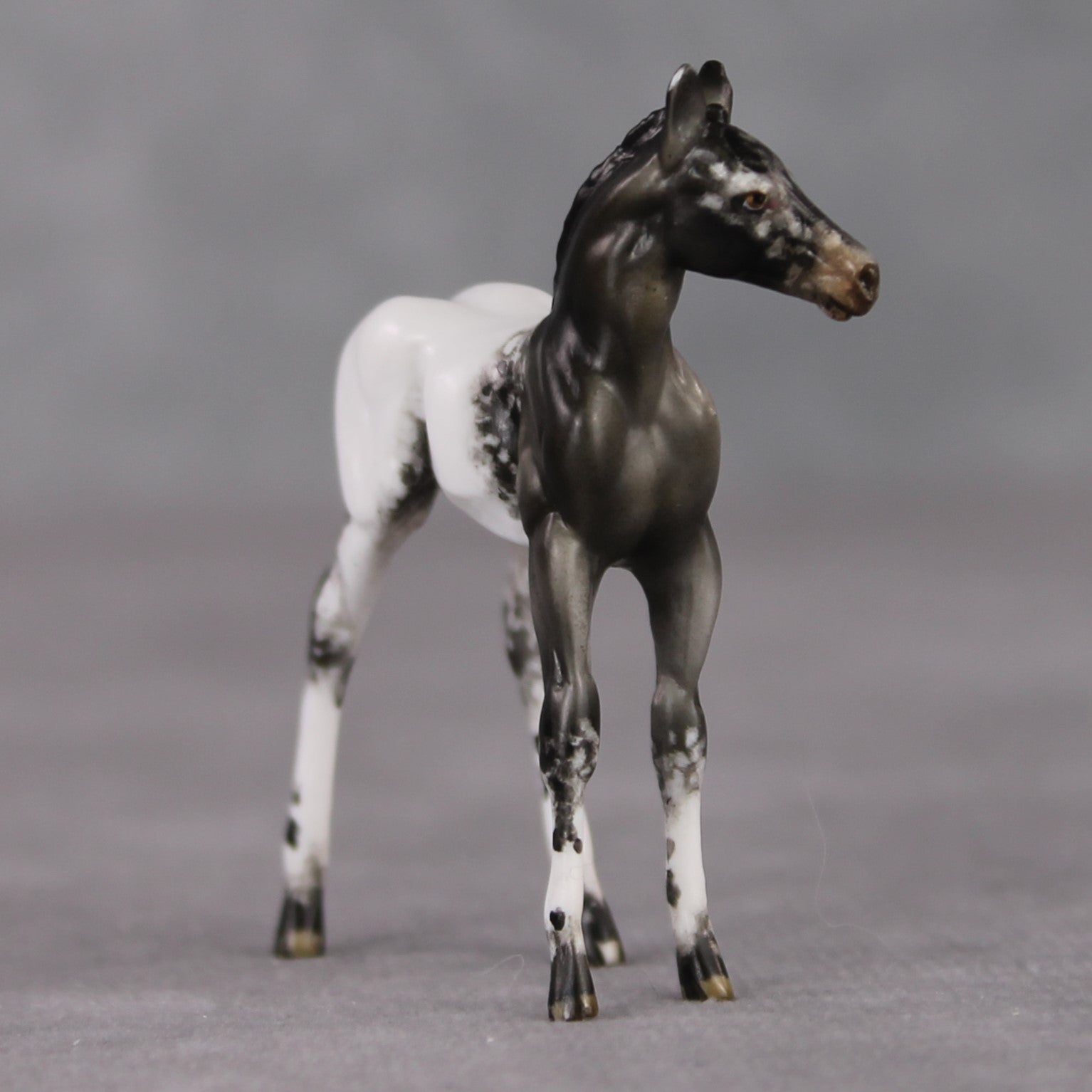 "Mini Renn" LE-3 Appaloosa Foal Chip By Julie Keim-Secret Surprise Chip Drop