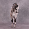 &quot;De Barge&quot; OOAK EFCM Andalusian By Caroline Boydston Best Offer 5/13/2025